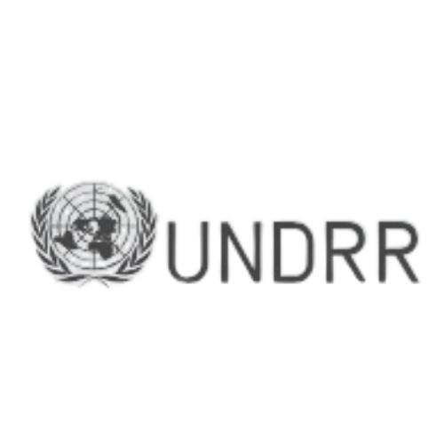 UNDRR 1 1